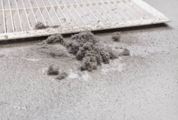 Best HVAC System Cleaning  in South Portland, ME