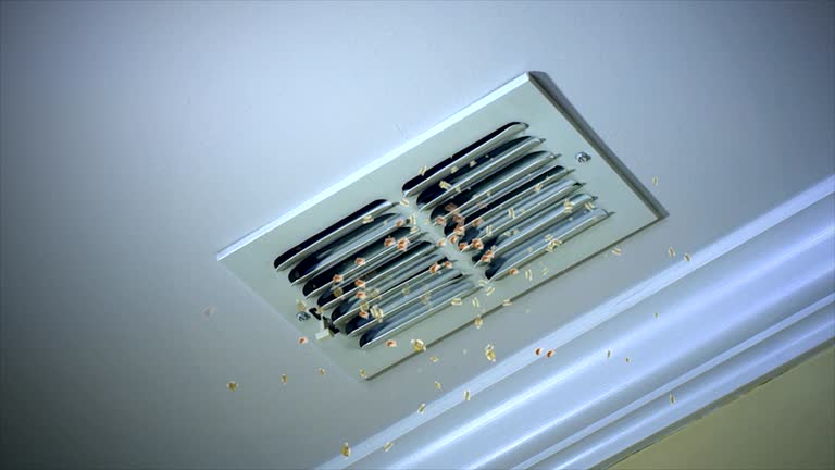 Air Duct Mold Removal in ME